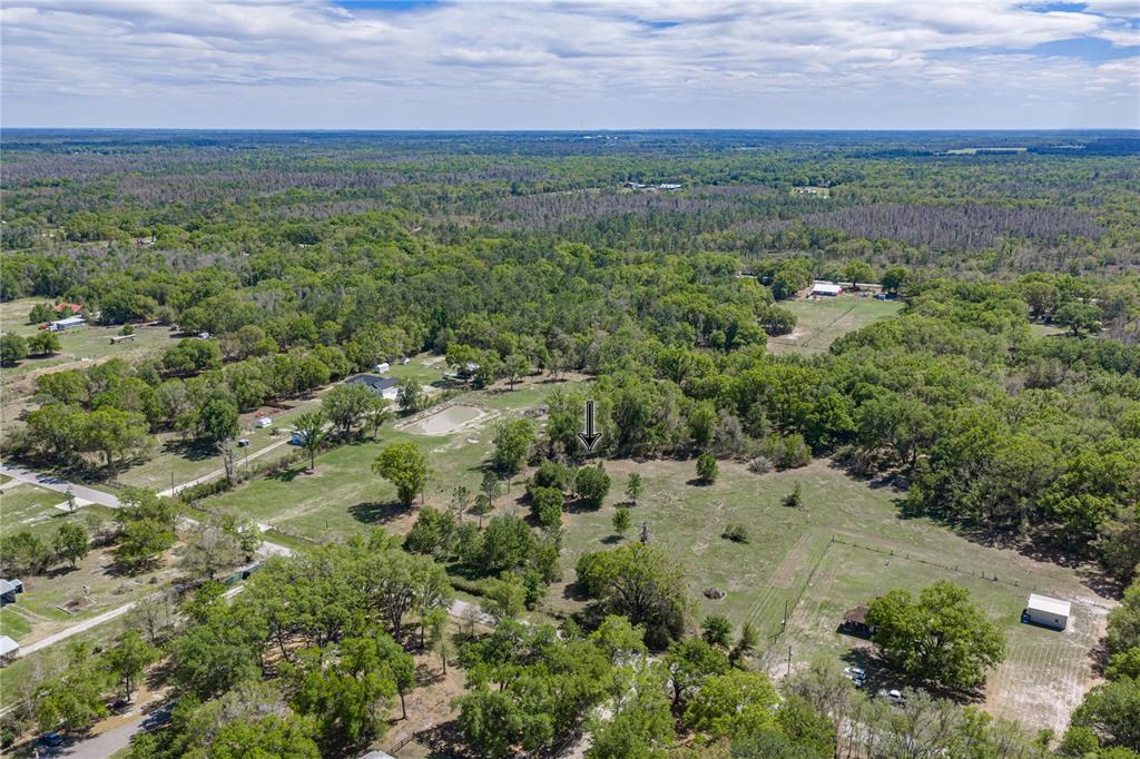0 Clayton Road Kathleen, FL 33849 - Photo 5 of 41 a view of a field with lots of trees