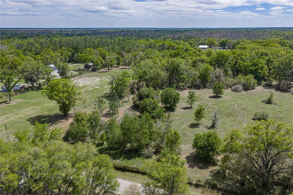 0 Clayton Road Kathleen, FL 33849 - Photo 7 of 41 a view of a lush green forest with lots of trees