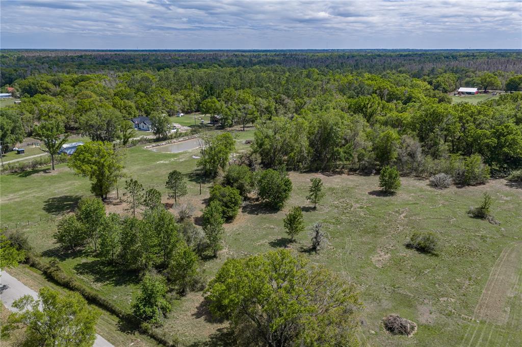 0 Clayton Road Kathleen, FL 33849 - Photo 8 of 41 a view of a lush green field