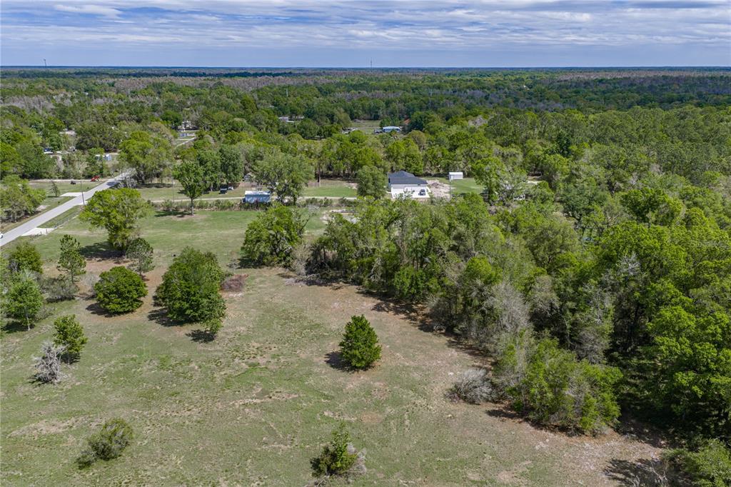 0 Clayton Road Kathleen, FL 33849 - Photo 10 of 41 a view of a lush green forest with lots of trees