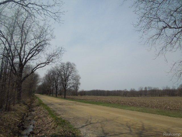 4059 Thom Road Columbiaville, MI 48421 - Photo 20 of 22 jyhf 174.jpg