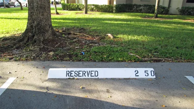 a view of a street with a large trees