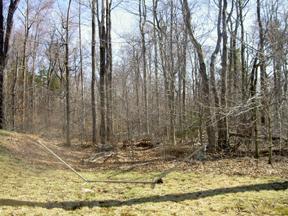 7753 Kilmer Road Tobyhanna, PA 18466 - Photo 6 of 9 wooded area behind the property