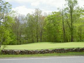 7753 Kilmer Road Tobyhanna, PA 18466 - Photo 9 of 9 part of Pocono Farms Country Club golf