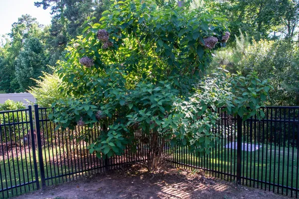 $1,975 | 122 Tuftin Drive, Durham, NC 27703