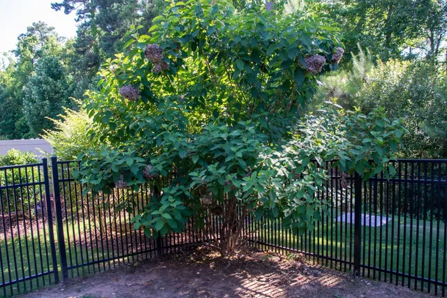 $1,975 | 122 Tuftin Drive, Durham, NC 27703