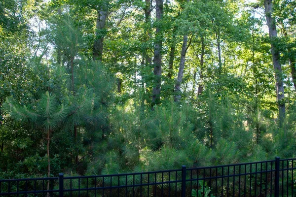 $1,975 | 122 Tuftin Drive, Durham, NC 27703