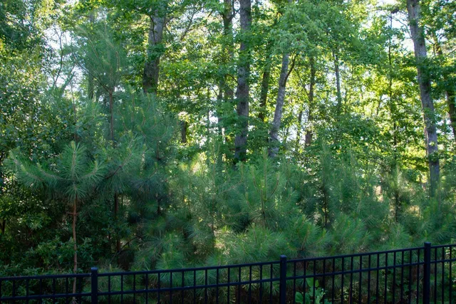 $1,975 | 122 Tuftin Drive, Durham, NC 27703