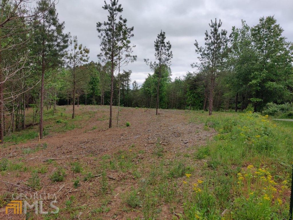 0 Moss Road Fairmount, GA 30139 - Photo 1 of 1 a view of outdoor space with trees all around