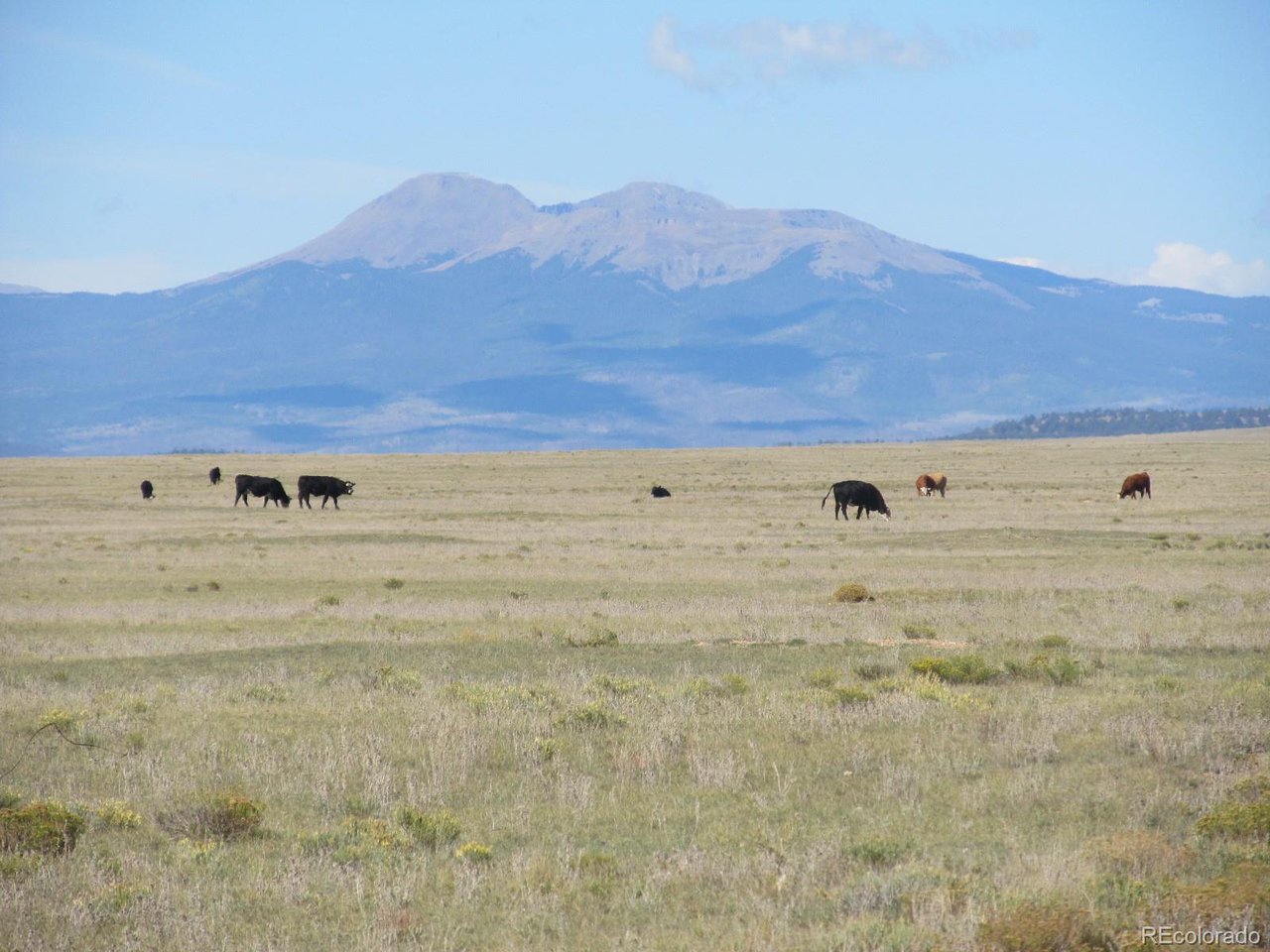 21 Routt Road Hartsel, CO 80449 - Photo 3 of 7 a view of view of an ocean