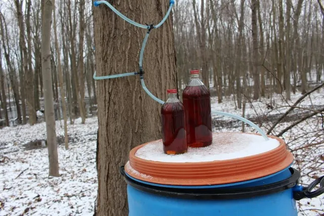 $599,000 | 4477 104th Avenue, Allegan, MI 49010