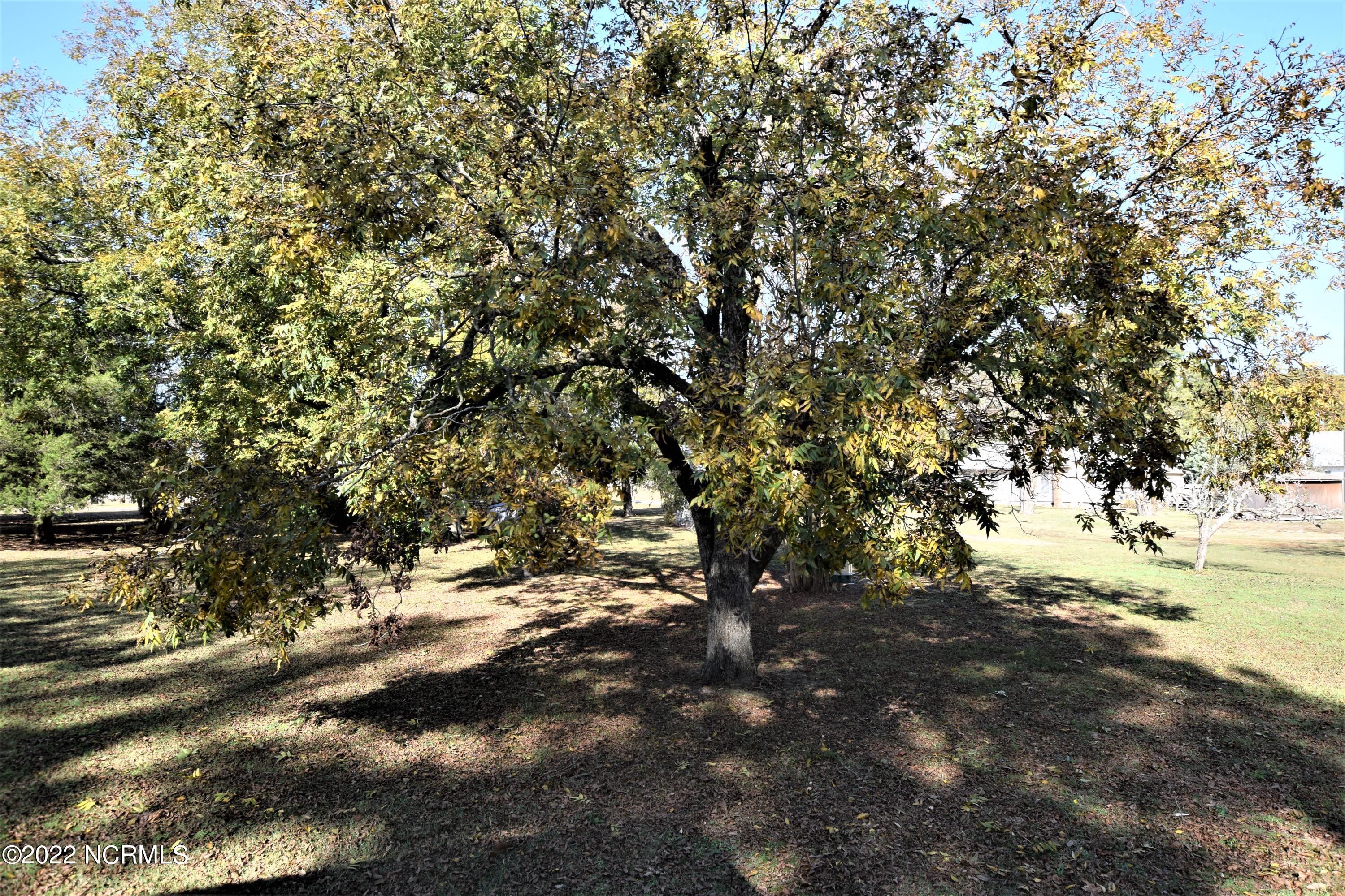 183 Eagle Branch Road Eagle Springs, NC 27242 - Photo 14 of 26 Front Yard