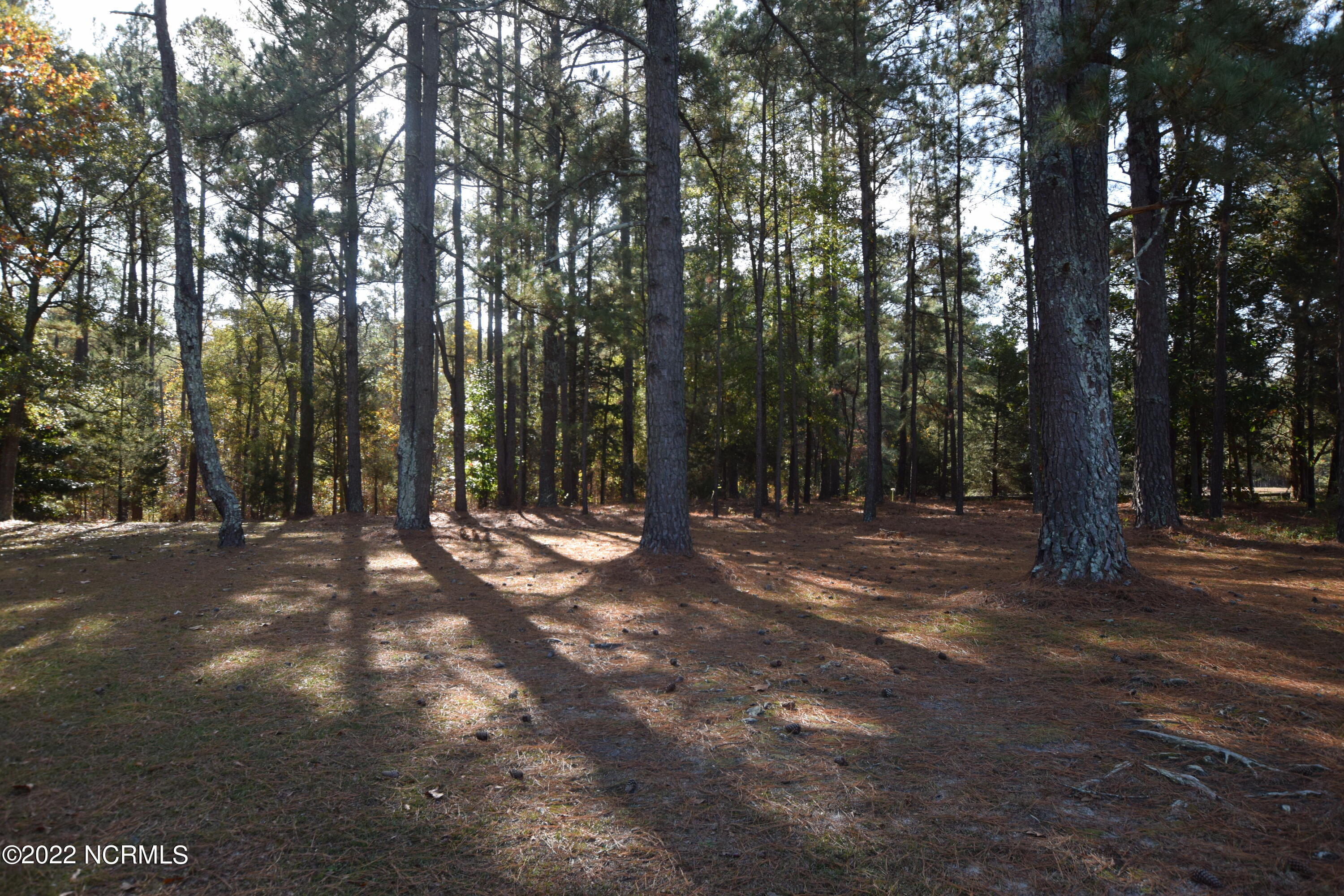 183 Eagle Branch Road Eagle Springs, NC 27242 - Photo 17 of 26 Back yard