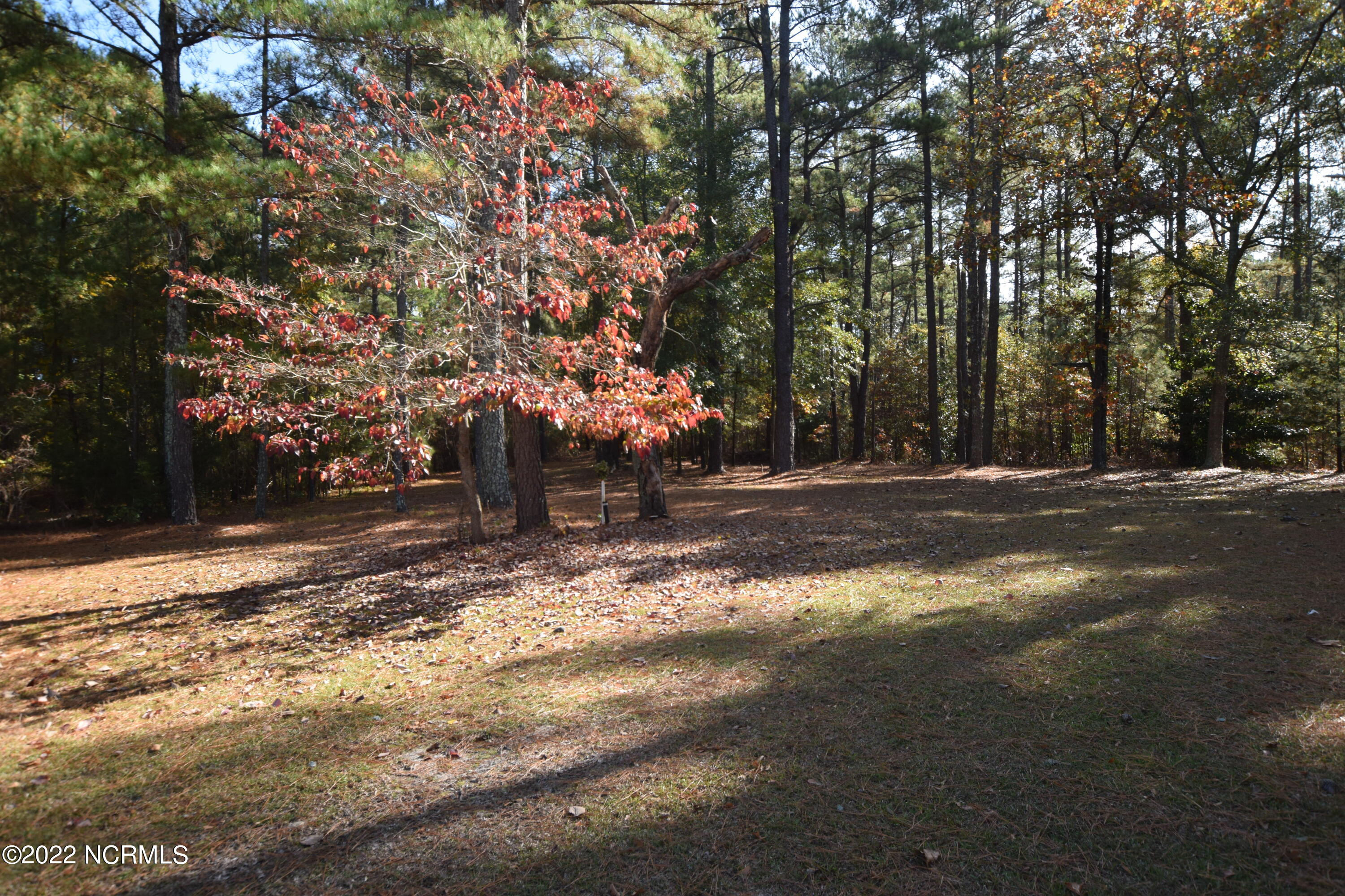 183 Eagle Branch Road Eagle Springs, NC 27242 - Photo 18 of 26 Back yard
