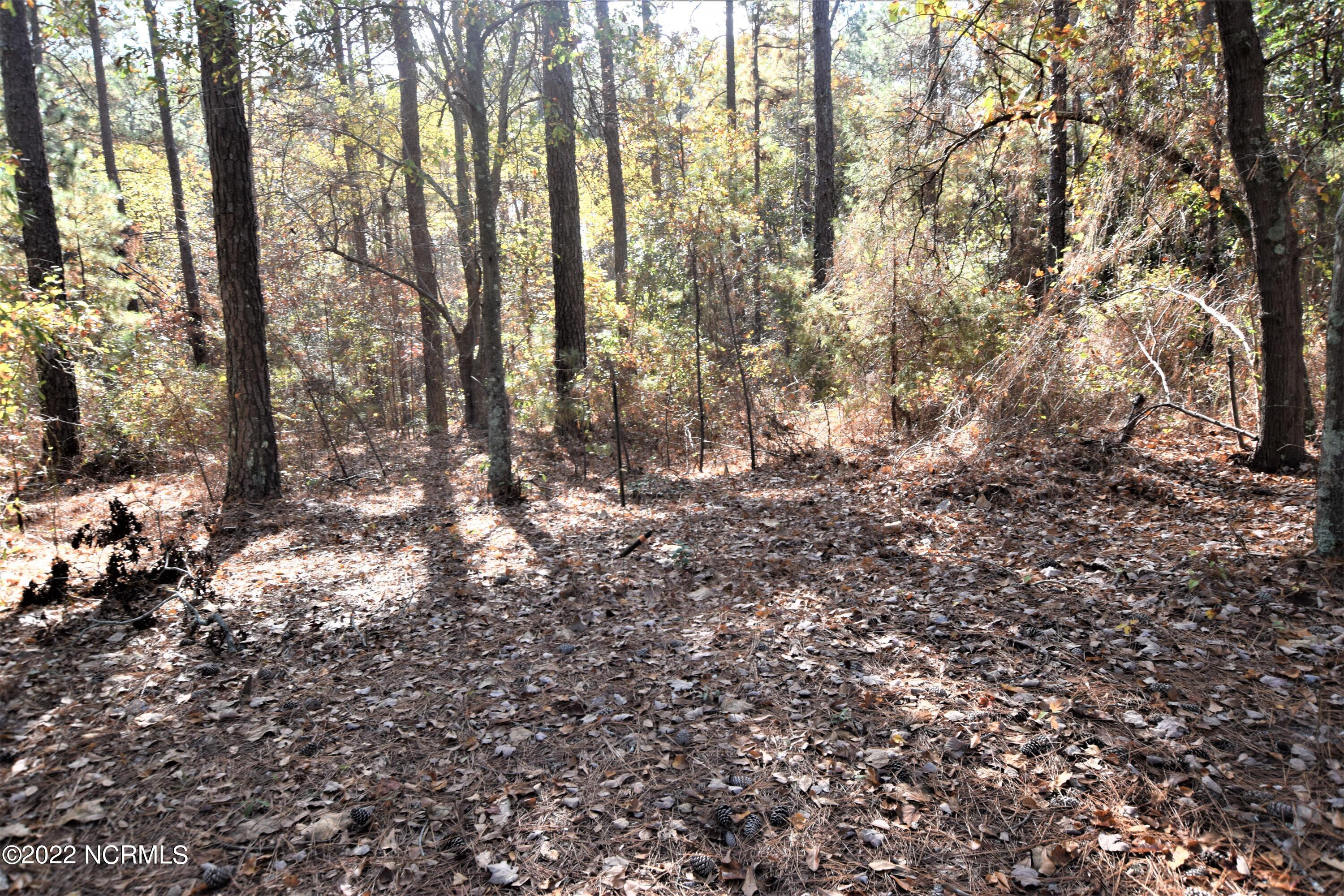 183 Eagle Branch Road Eagle Springs, NC 27242 - Photo 20 of 26 Wooded back yard