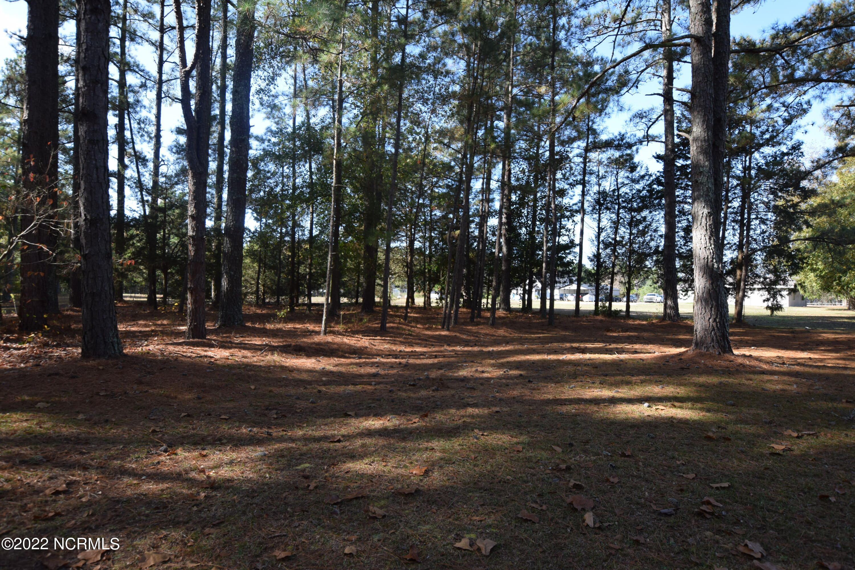 183 Eagle Branch Road Eagle Springs, NC 27242 - Photo 22 of 26 Back yard