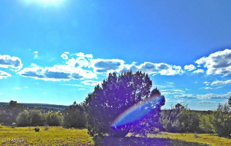 7704 Northstar Road, Unit 728 Williams, AZ 86046 - Photo 4 of 15 20170917025353913563000000-o