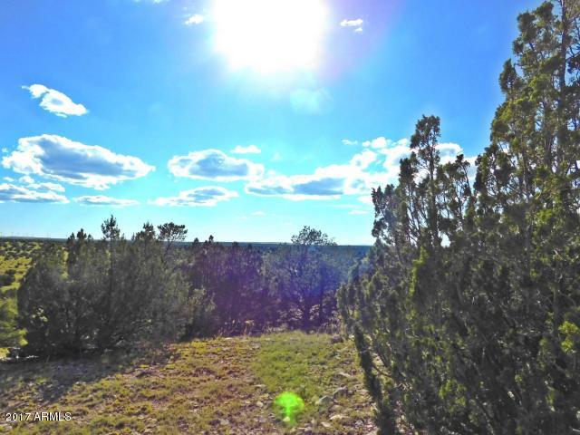 7704 Northstar Road, Unit 728 Williams, AZ 86046 - Photo 8 of 15 20170917025535201208000000-o