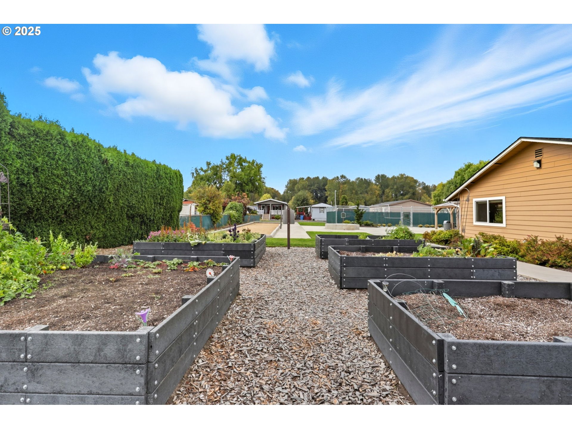 300 Southwest 7th Avenue, Unit 95 Battle Ground, WA 98604 - Photo 24 of 27 a view of outdoor space and yard