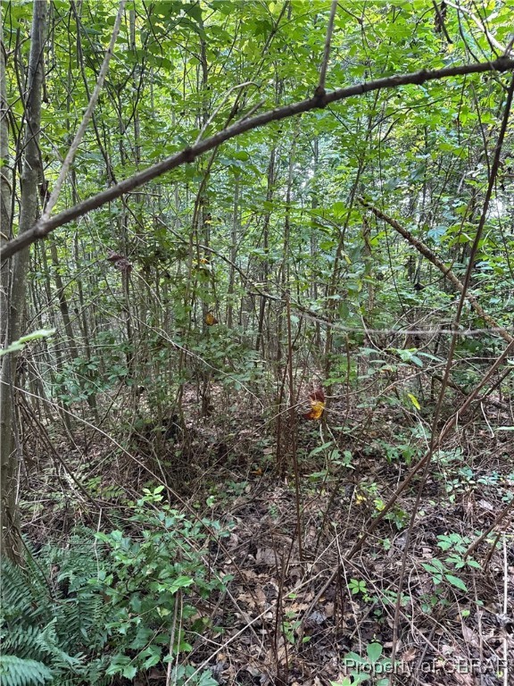 5.7-ac Dutton Road Gloucester, VA 23061 - Photo 19 of 21