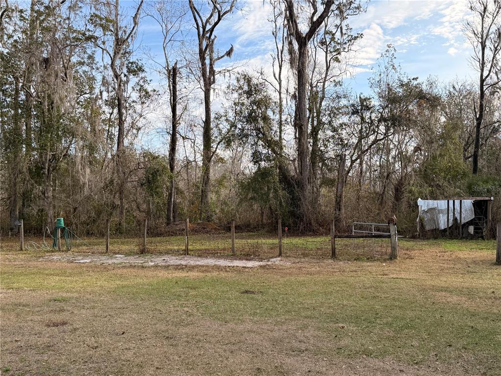 765 Sloans Ridge Road Groveland, FL 34736 - Photo 54 of 62 a backyard of a house with lots of tall trees