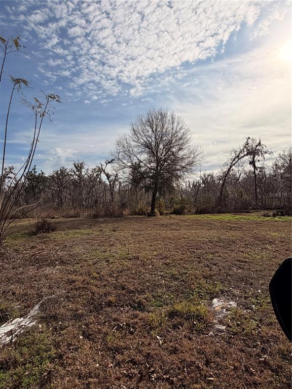 765 Sloans Ridge Road Groveland, FL 34736 - Photo 59 of 62