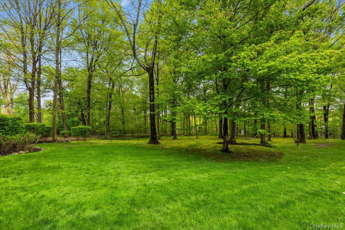 37 Talcott Road Rye Brook, NY 10573 - Photo 19 of 25 Flat back yard