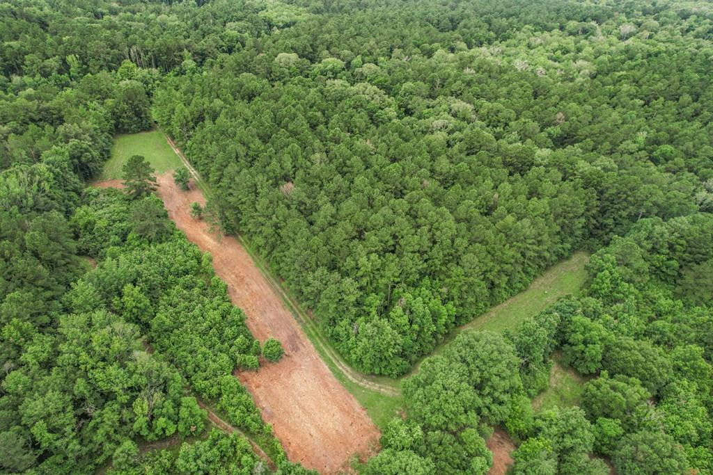 18222 Stoney Point Burch Road Greenwell Springs, LA 70739 - Photo 1 of 37 Main View