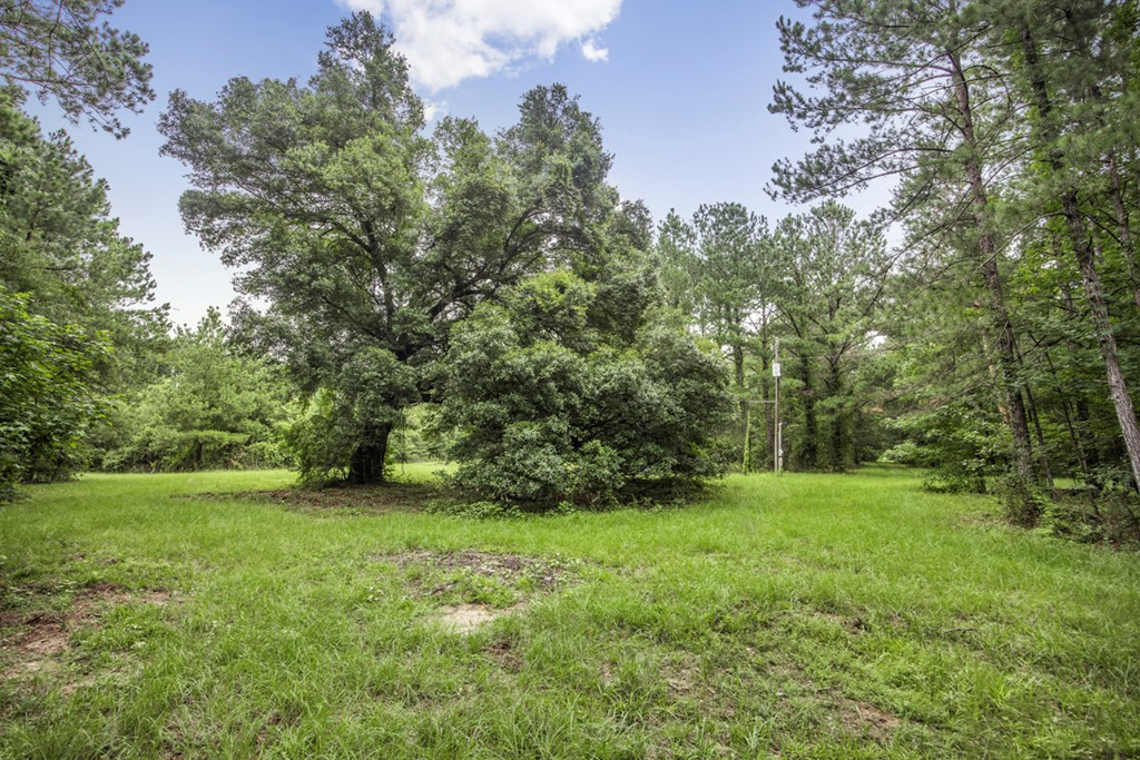 18222 Stoney Point Burch Road Greenwell Springs, LA 70739 - Photo 14 of 37 Photo 14