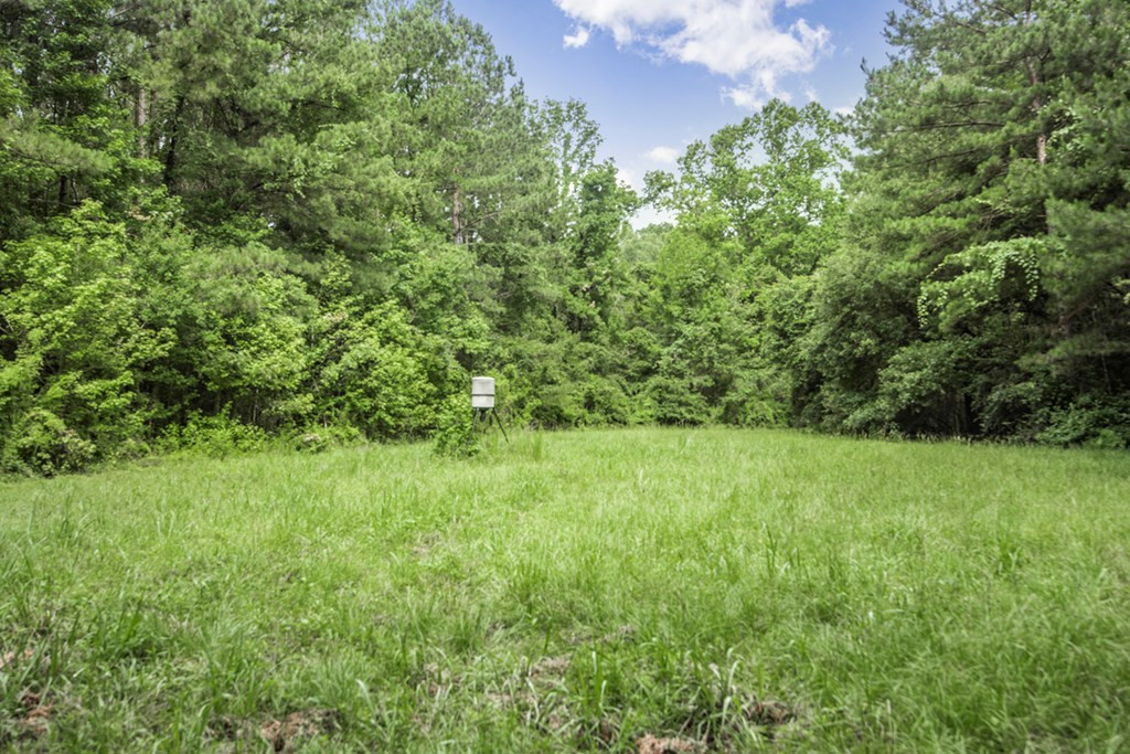 18222 Stoney Point Burch Road Greenwell Springs, LA 70739 - Photo 15 of 37 Photo 15