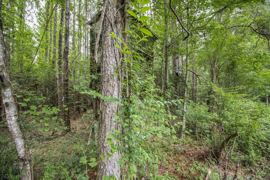 18222 Stoney Point Burch Road Greenwell Springs, LA 70739 - Photo 16 of 37 Photo 16