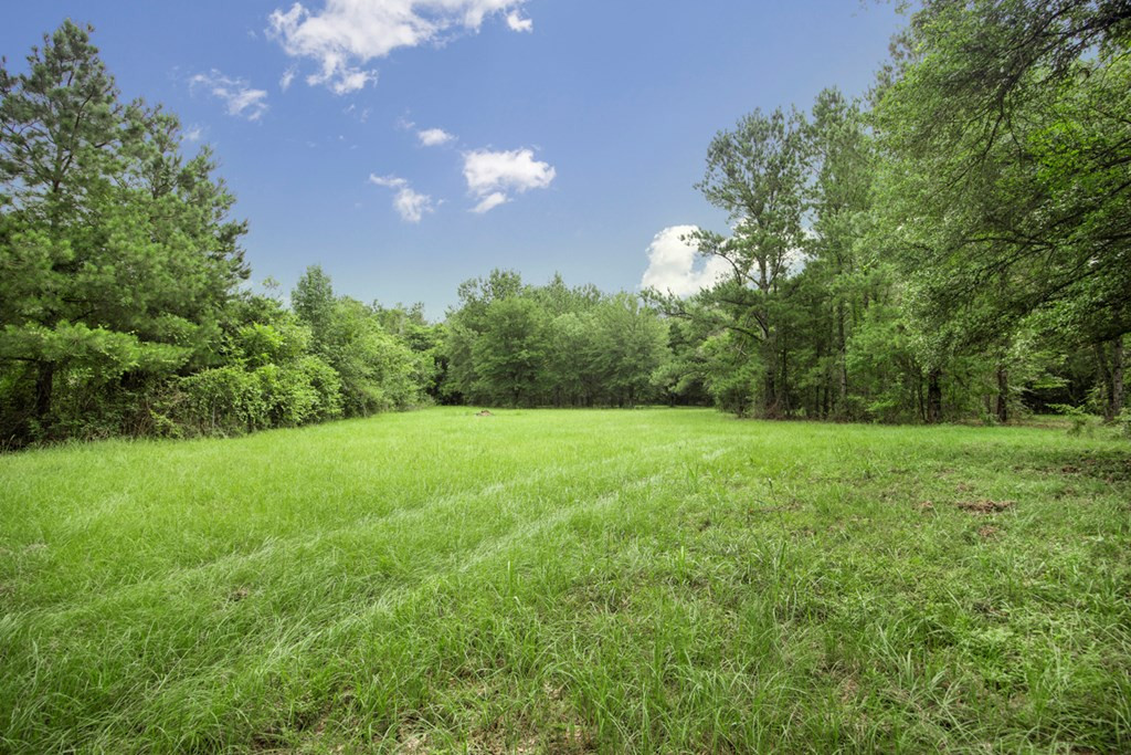 18222 Stoney Point Burch Road Greenwell Springs, LA 70739 - Photo 17 of 37 Photo 17