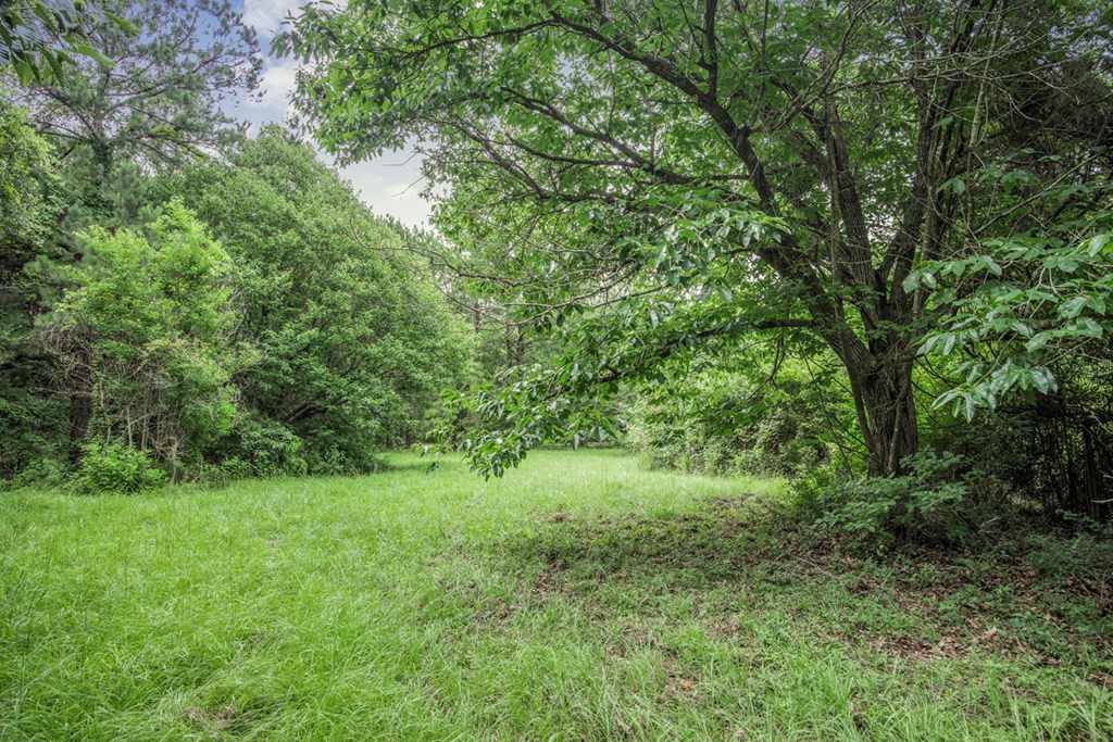 18222 Stoney Point Burch Road Greenwell Springs, LA 70739 - Photo 20 of 37 Photo 20