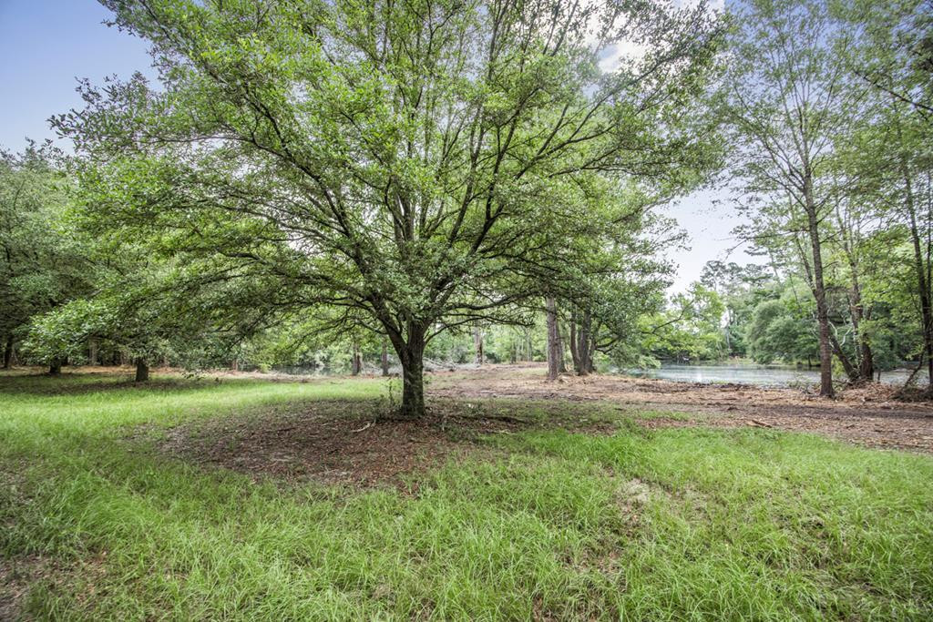 18222 Stoney Point Burch Road Greenwell Springs, LA 70739 - Photo 2 of 37 Photo 2