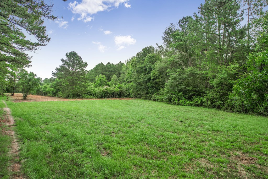18222 Stoney Point Burch Road Greenwell Springs, LA 70739 - Photo 23 of 37 Photo 23