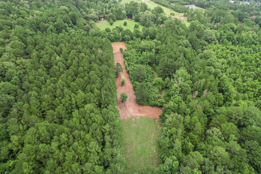 18222 Stoney Point Burch Road Greenwell Springs, LA 70739 - Photo 24 of 37 Photo 24