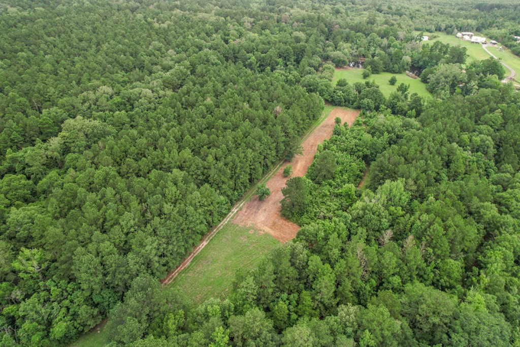 18222 Stoney Point Burch Road Greenwell Springs, LA 70739 - Photo 25 of 37 Photo 25