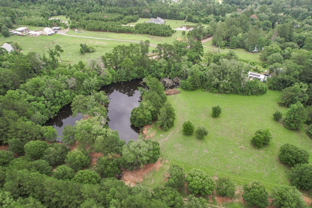 18222 Stoney Point Burch Road Greenwell Springs, LA 70739 - Photo 26 of 37 Photo 26