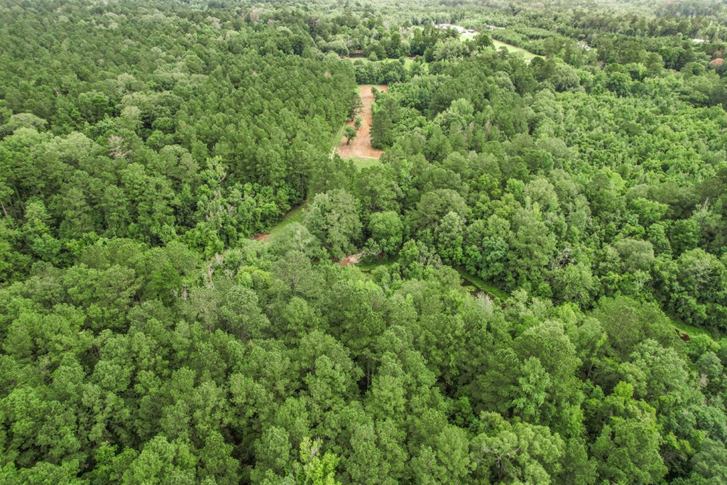 18222 Stoney Point Burch Road Greenwell Springs, LA 70739 - Photo 28 of 37 Photo 28