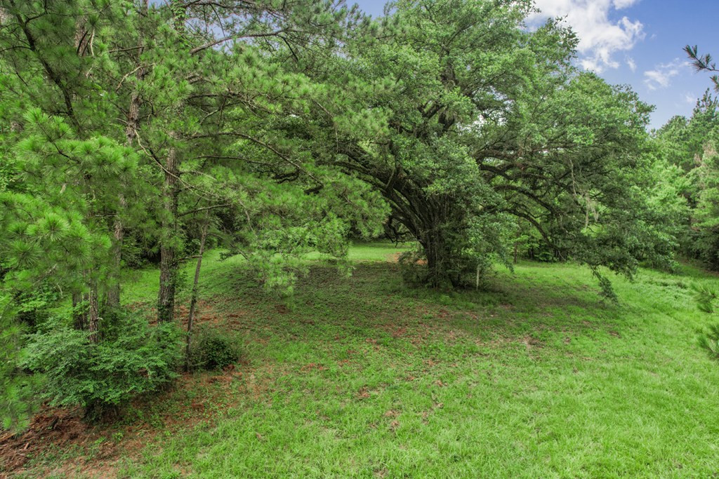 18222 Stoney Point Burch Road Greenwell Springs, LA 70739 - Photo 30 of 37 Photo 30