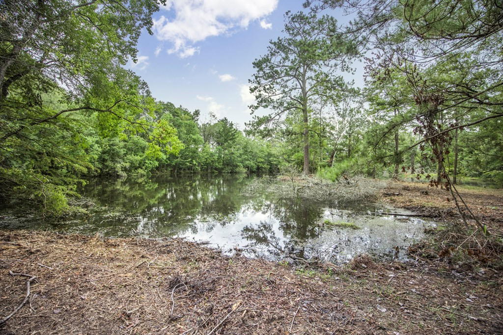 18222 Stoney Point Burch Road Greenwell Springs, LA 70739 - Photo 3 of 37 Photo 3
