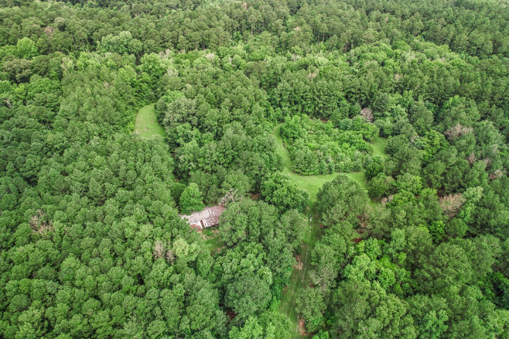 18222 Stoney Point Burch Road Greenwell Springs, LA 70739 - Photo 32 of 37 Photo 32