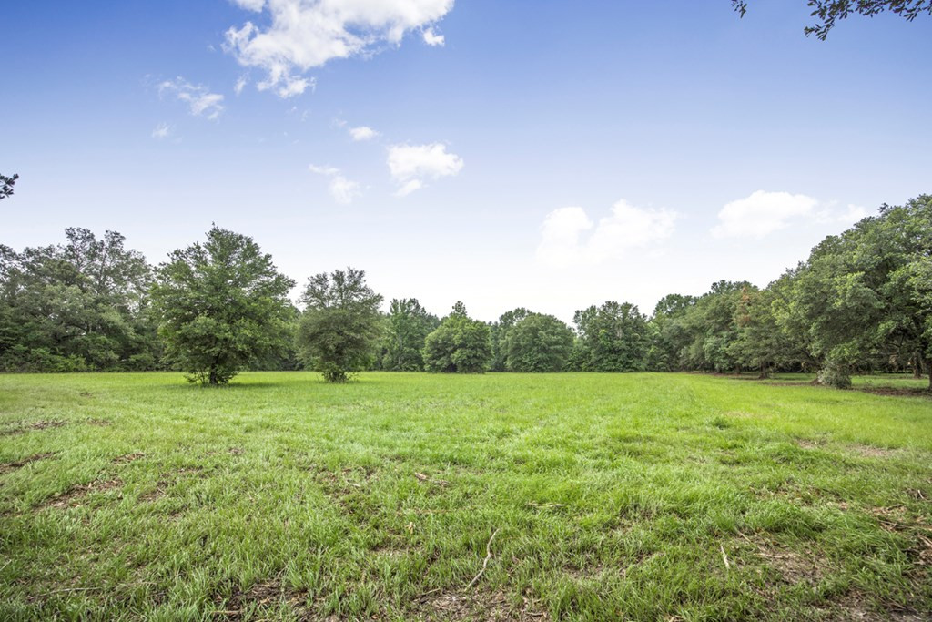 18222 Stoney Point Burch Road Greenwell Springs, LA 70739 - Photo 5 of 37 Photo 5