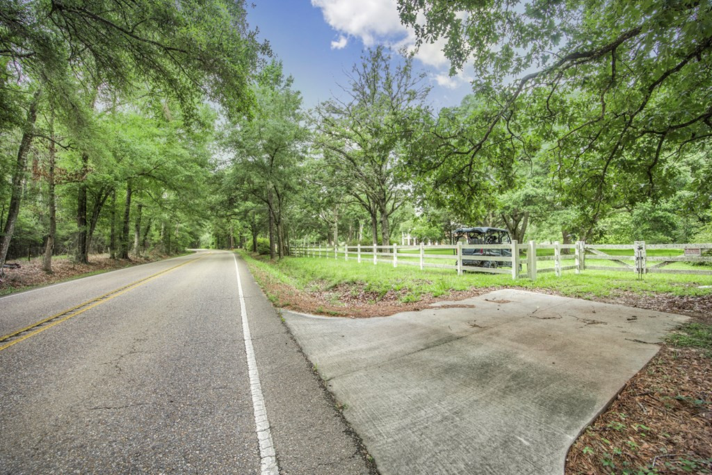 18222 Stoney Point Burch Road Greenwell Springs, LA 70739 - Photo 10 of 37 Photo 10