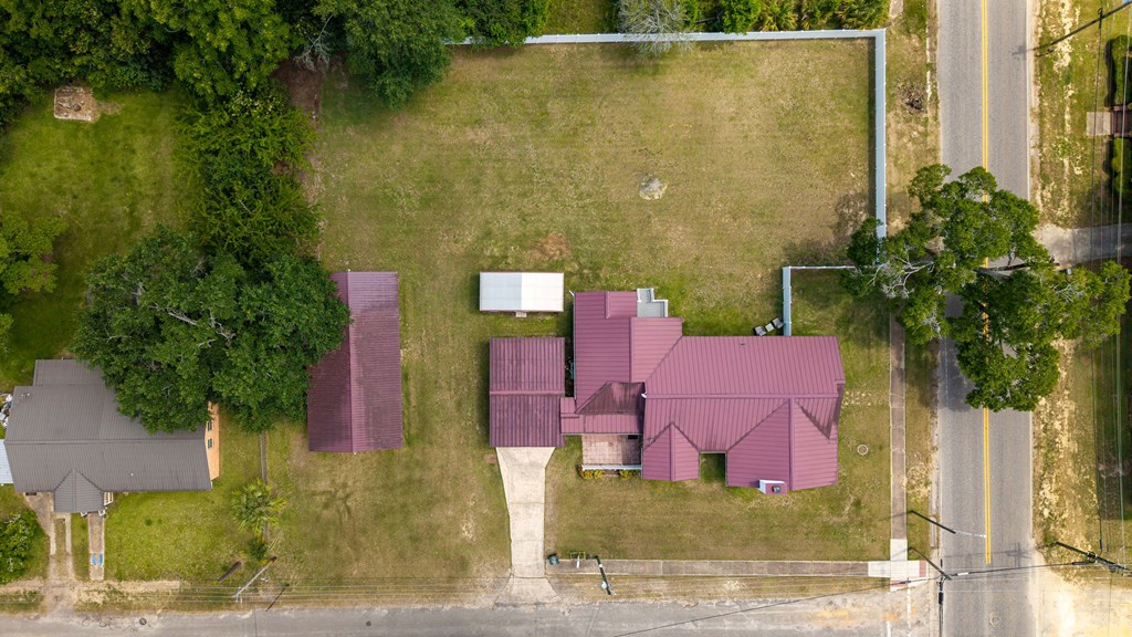 101 South Johnson Street Samson, AL 36477 - Photo 3 of 53