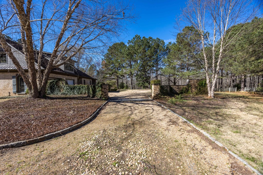 8435 Cartledge Road Box Springs, GA 31801 - Photo 90 of 100 Gallery Image 90