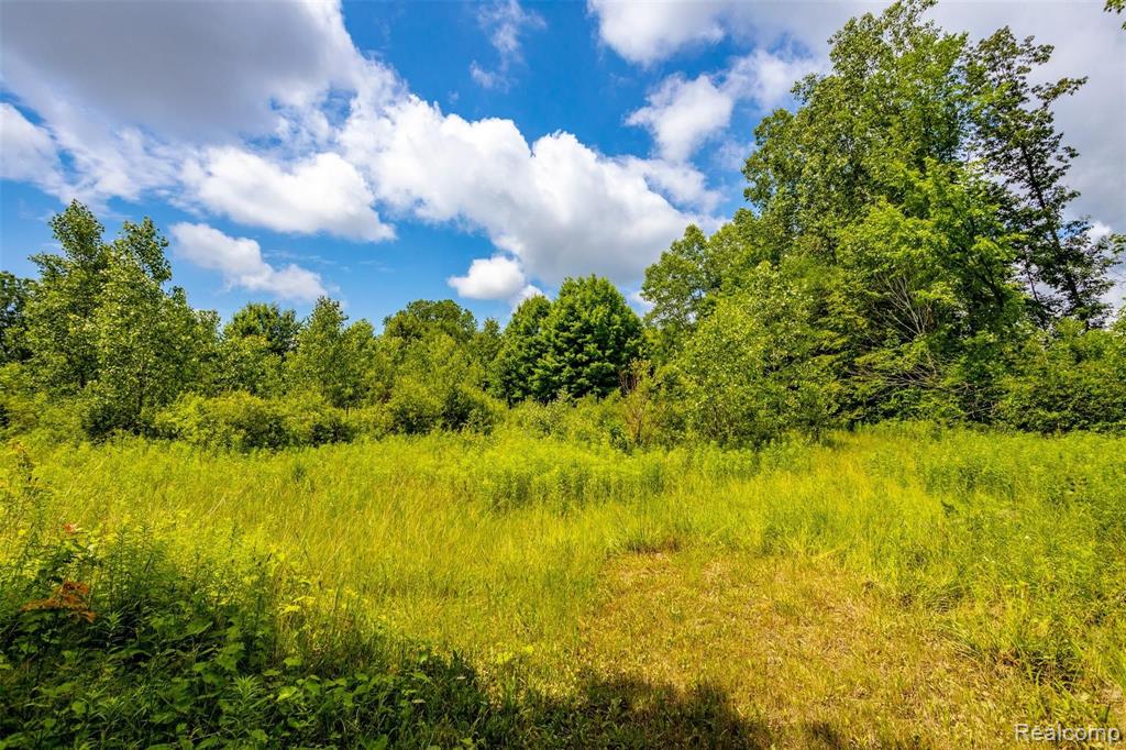 4570 Denton Road Canton, MI 48188 - Photo 22 of 24