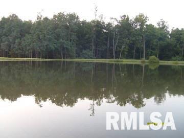 4959 Basom Road Salem, IL 62881 - Photo 11 of 16