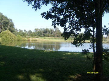 4959 Basom Road Salem, IL 62881 - Photo 12 of 16