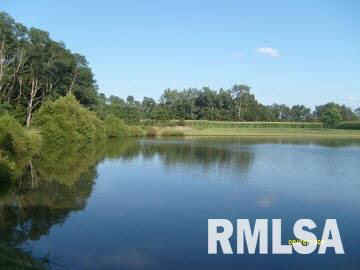 4959 Basom Road Salem, IL 62881 - Photo 13 of 16